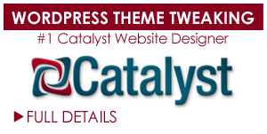 Catalyst Theme Reviews
