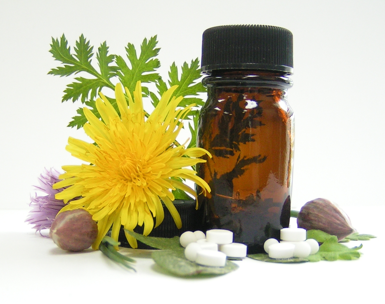 Herbal Remedies and Herbs
