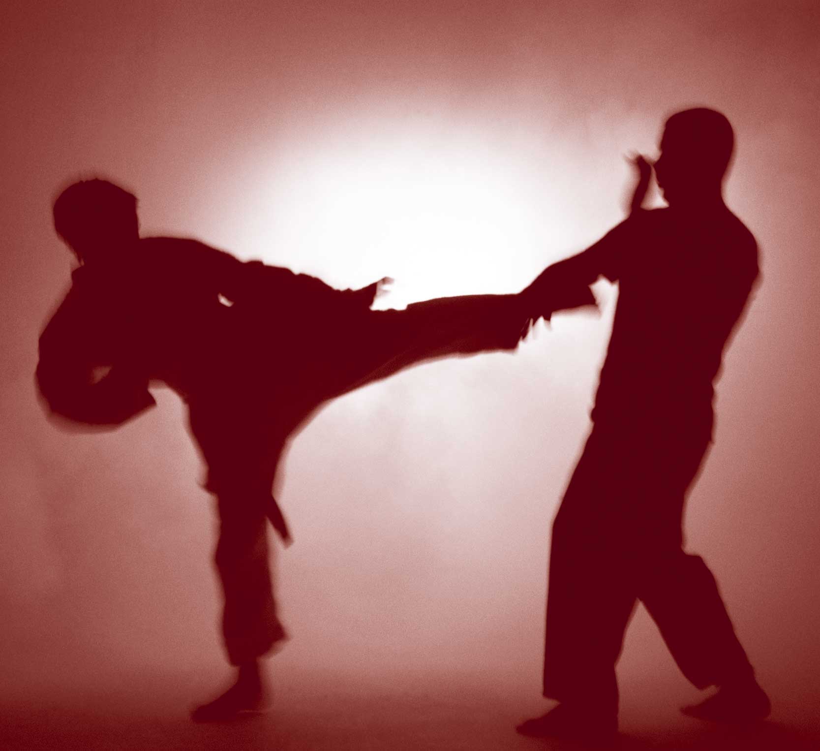 Martial Arts