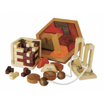 Puzzles and Brain Teasers